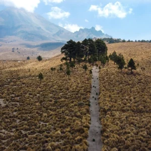 Formación de Orientación